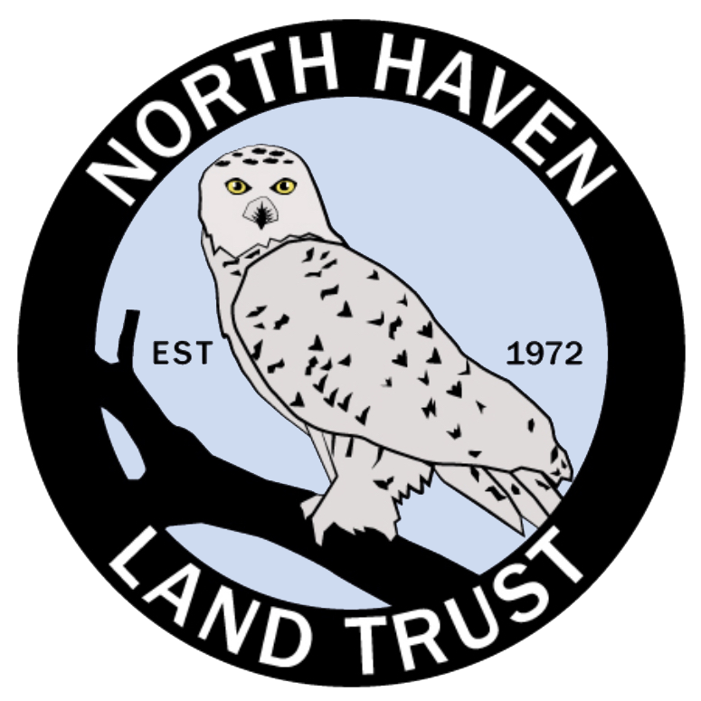 NORTH HAVEN LAND TRUST